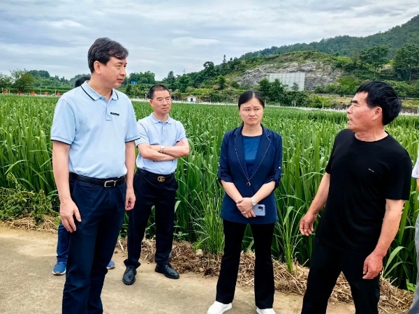 640 (5).jpeg 640 (5).jpeg